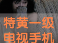 特黄视频,一场视觉与心理的双重冲击
