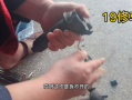 电动车转把拆卸视频,视频教程带你轻松上手