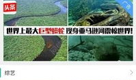 你懂的视频在线,在线生成与概述的奇妙之旅