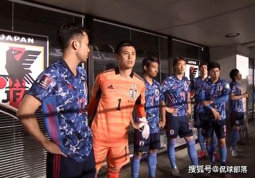 日本强轮视频在线观看,在线观看背后的真相与争议